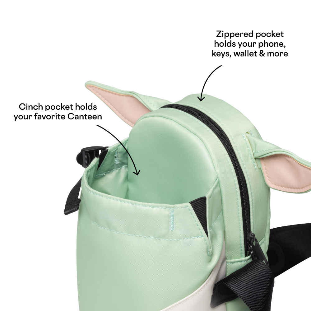 disney-sling-l2 53593b3e49e2--Sling-PDP-4.png